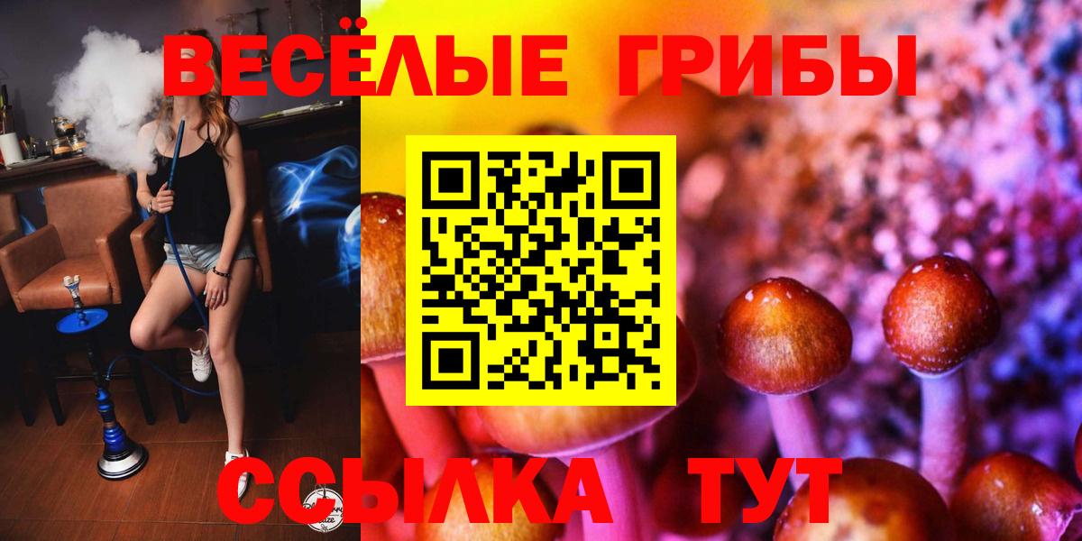 Псилоцибиновые грибы мухоморы  Вход с VPN  Псилоцибиновые грибы ЛСД  Шарыпово 