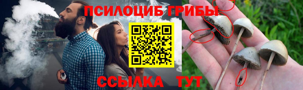 Галлюциногенные грибы мухоморы Шарыпово